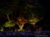 landscape lighting