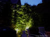 landscape lighting